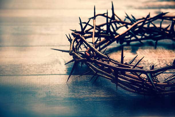 Crown of thorns.